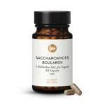 saccharomicesb.webp